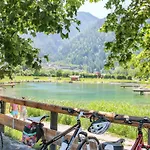 Selina By Interhome * Fuegenberg